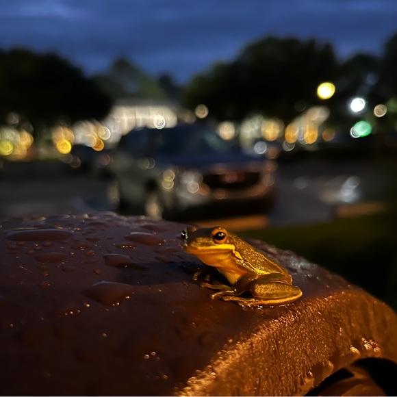 Meet your Posher, Hannah <3 - Picture 5 of 5